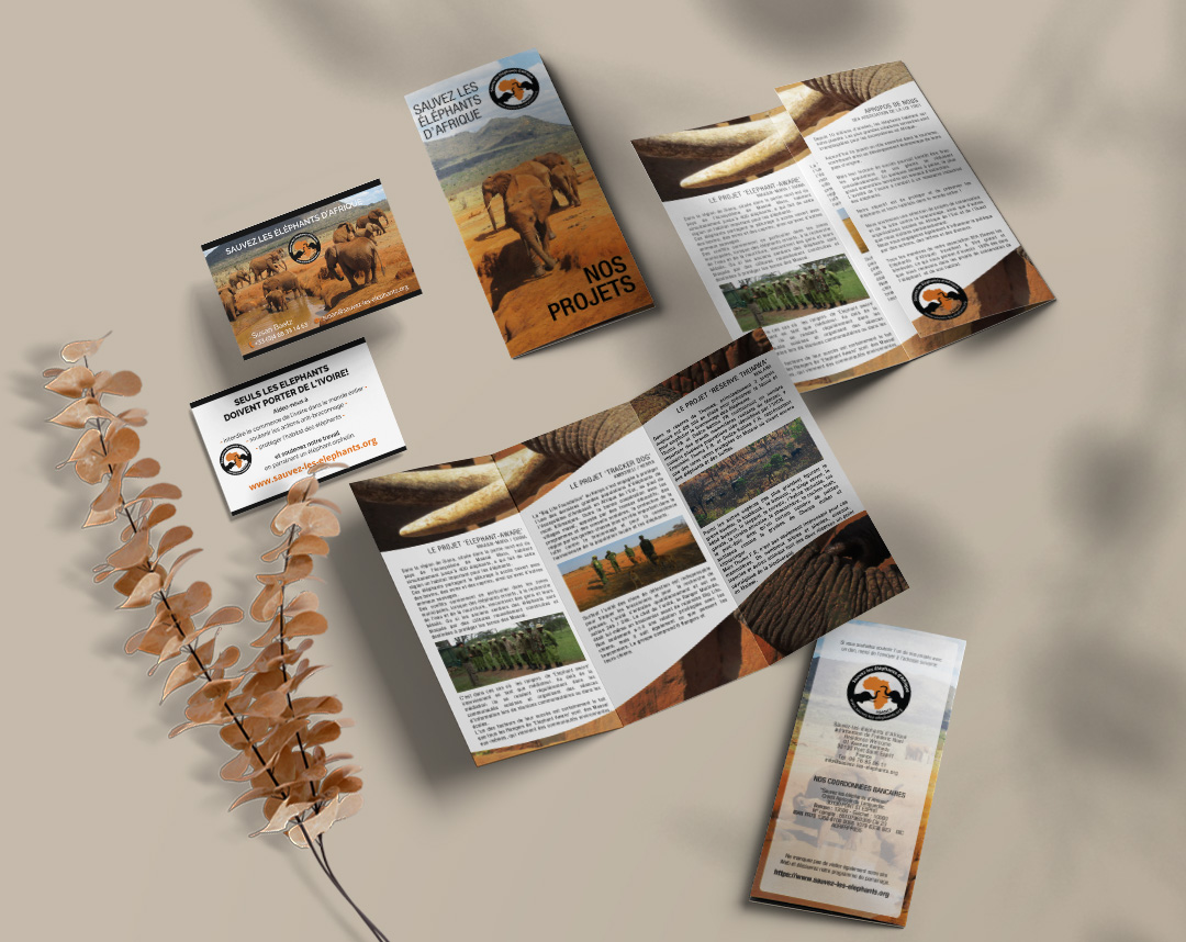 Corporate ID de l'association sauvez les éléphants d'afrique